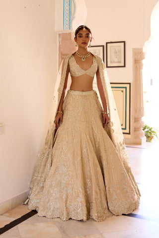 Front view of frost champagne lehenga with tonal jaal embroidery and net dupatta by Osaa by Adarsh at Mrs. G