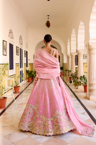 Back view of rosaline pink lehenga with a sequinned skirt and pink dupatta over the shoulder by Osaa by Adarsh at Mrs. G
