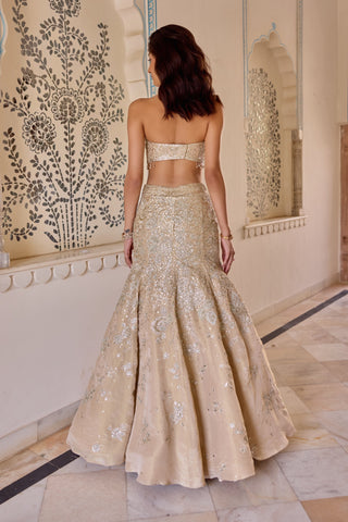 Back view of frost champagne fish cut lehenga with a bare-back halter top and flared hem by Osaa by Adarsh at Mrs. G