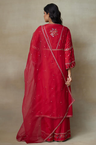 Red Kurta Set for Indian Wedding – Pelican by Shasha Gaba