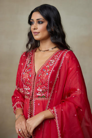 Red Kurta Set for Indian Wedding – Pelican by Shasha Gaba