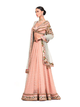Baby pink embroidered lehenga set