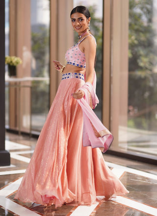 Ruhi pink lehenga set