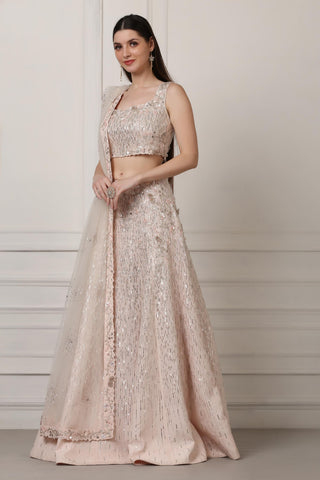 Light pink sequin and swarovski embellished lehenga set