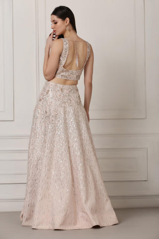 Light pink sequin and swarovski embellished lehenga set