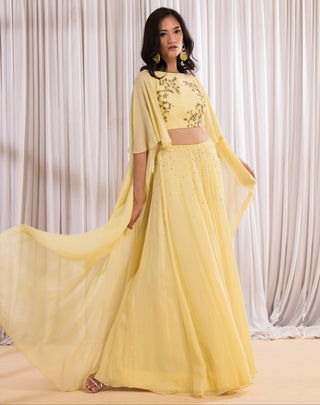 Yellow crop top and skirt set