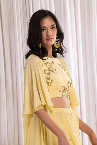 Yellow crop top and skirt set