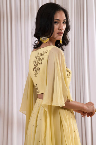 Yellow crop top and skirt set