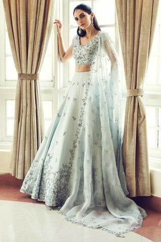 Light bluish gray crystal and sequin lehenga set