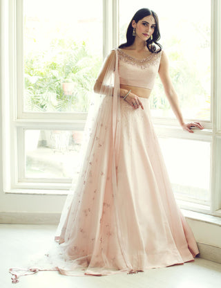 Light pink floral and texture embroidery lehenga set