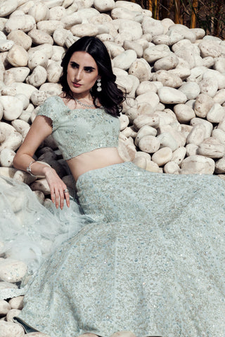 Light blue crystal embellished lehenga set