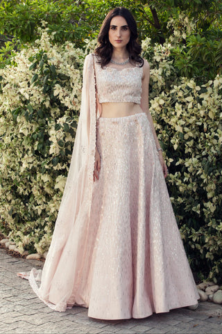 Light pink sequin and swarovski embellished lehenga set