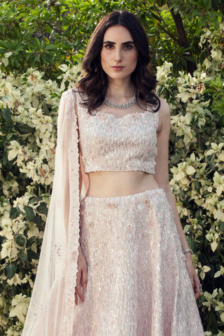 Light pink sequin and swarovski embellished lehenga set