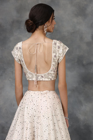 Light pink crystal and katdana embellished lehenga set