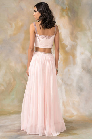 Blush pink katdana and sequin embellished lehenga set