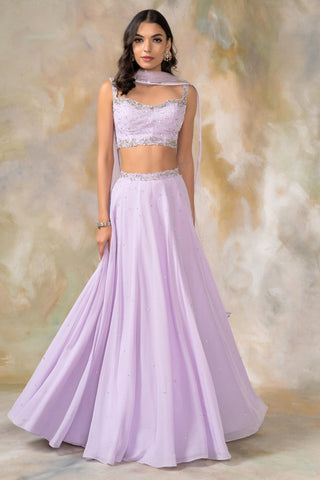 Purple crystal and sequin lehenga set