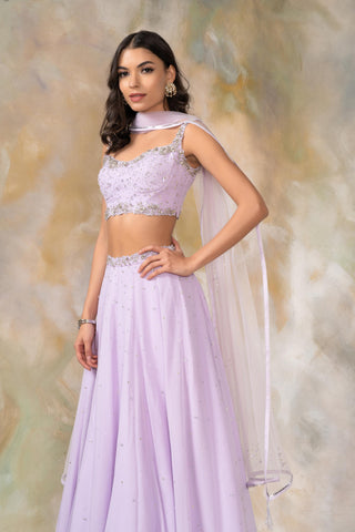Purple crystal and sequin lehenga set