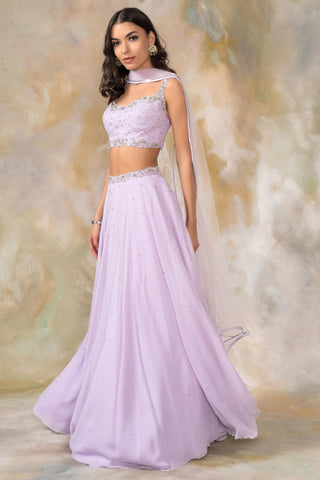 Purple crystal and sequin lehenga set