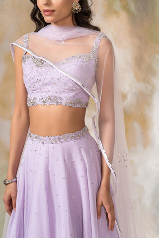 Purple crystal and sequin lehenga set