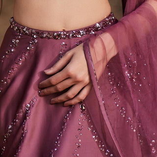 Deep red wine draped lehanga set