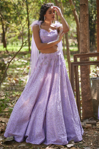 Purple crystal embellished lehanga with feathers