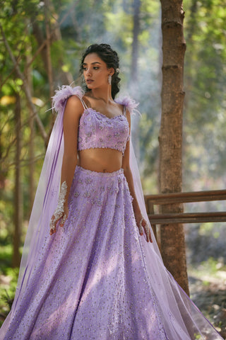 Purple crystal embellished lehanga with feathers