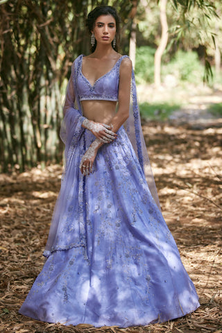 Blue katdana embellished lehenga set