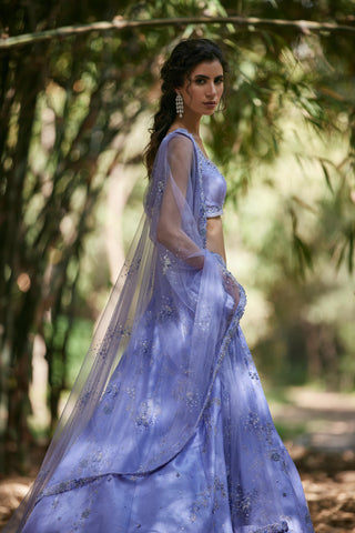 Blue katdana embellished lehenga set