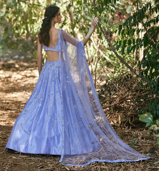 Blue katdana embellished lehenga set