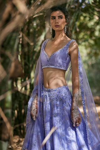Blue katdana embellished lehenga set