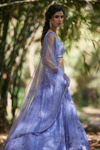 Blue katdana embellished lehenga set