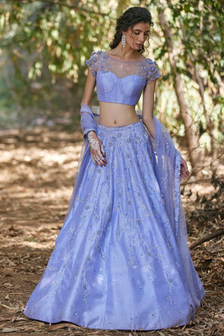 Blue Crystal embellished lehenga set