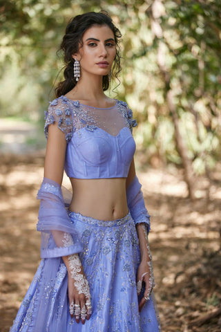 Blue Crystal embellished lehenga set