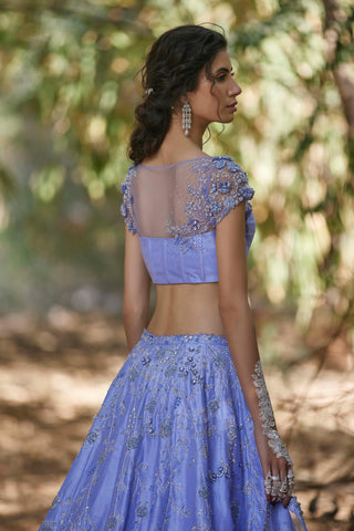 Blue Crystal embellished lehenga set