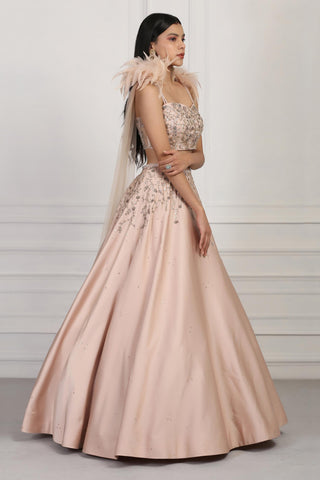 Beige crystal and sequin embellished crop top and skirt