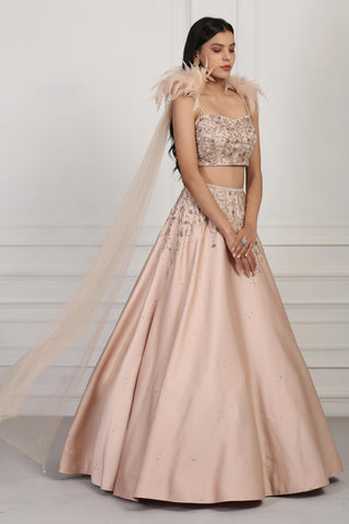 Beige crystal and sequin embellished crop top and skirt