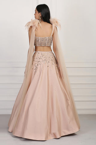 Beige crystal and sequin embellished crop top and skirt