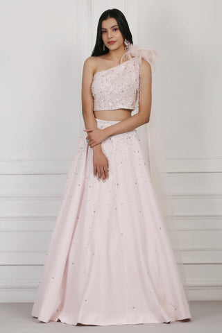 Light pink sequin and crystal embellished crop top and skirt set