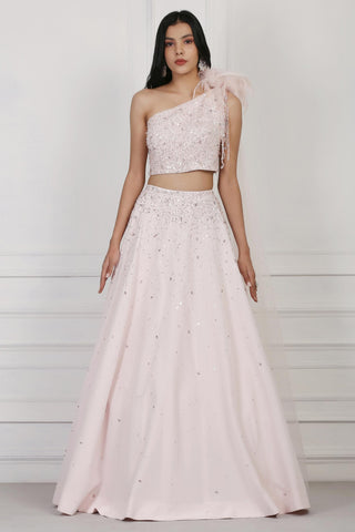 Light pink sequin and crystal embellished crop top and skirt set