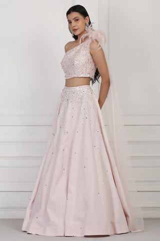 Light pink sequin and crystal embellished crop top and skirt set