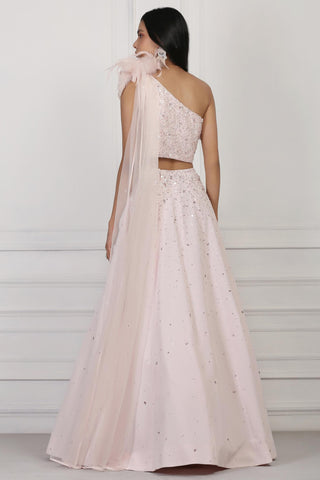 Light pink sequin and crystal embellished crop top and skirt set