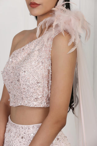 Light pink sequin and crystal embellished crop top and skirt set