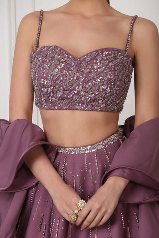 Light plum sequin and crystal embellished lehenga set