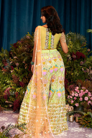 Sharara Set Indian Wedding - Green nova by Papa Don't Preach