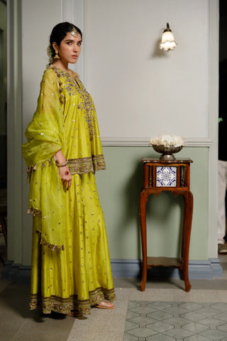 Mehendi green embroidered short anarkali and sharara with dupatta