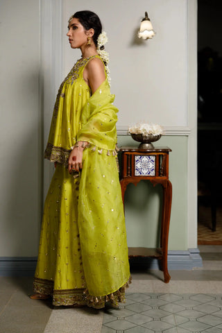 Mehendi green embroidered short anarkali and sharara with dupatta