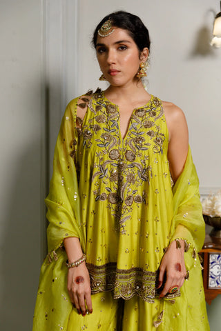 Mehendi green embroidered short anarkali and sharara with dupatta