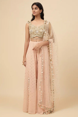 Blush pink embroidered back tie-up choli and sharara set