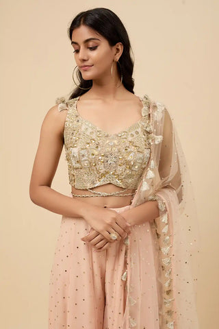 Blush pink embroidered back tie-up choli and sharara set