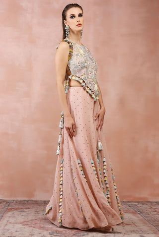 Rose pink embroidered choli and sharara